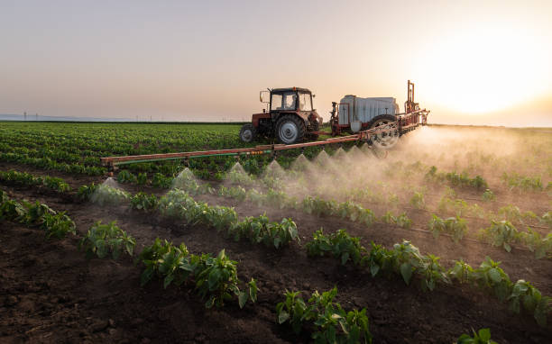 Best Best Pest Control Companies  in Sac City, IA