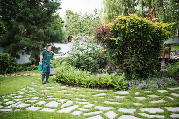 Best Local Pest Control Services  in Sac City, IA