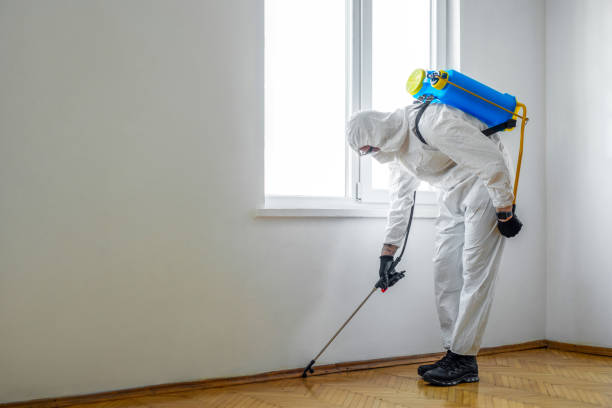 Best Pest Control for Businesses  in Sac City, IA