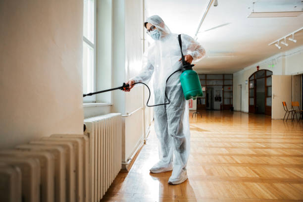 Best Cockroach Control Services  in Sac City, IA