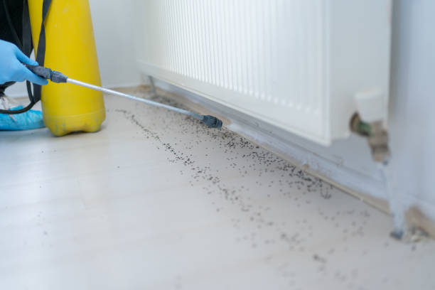 Pest Prevention Services in Sac City, IA